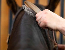 Load image into Gallery viewer, NTR Caress Mane & Tail Brush