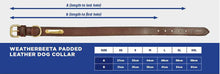Load image into Gallery viewer, Weatherbeeta Padded Leather Dog Collar- Second
