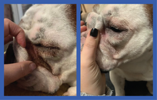 Load image into Gallery viewer, SquishFace Wrinkle Paste