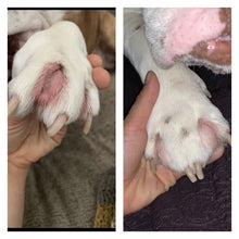 Load image into Gallery viewer, SquishFace Wrinkle Paste