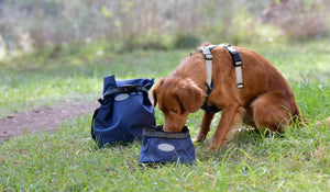 Weatherbeeta explorer Dog Water/ Feed bowl