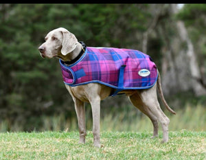 Weatherbeeta Comfitec Premier Free Parka Dog Coat