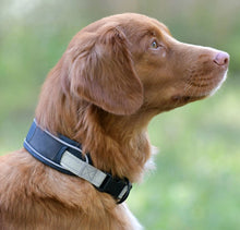 Load image into Gallery viewer, Weatherbeeta Explorer Dog collar
