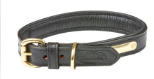 Load image into Gallery viewer, Weatherbeeta Padded Leather Dog Collar- Second
