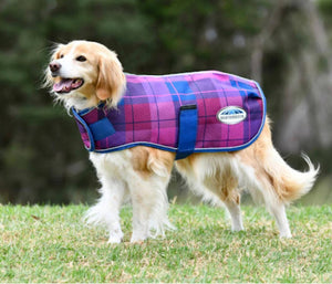 Weatherbeeta Comfitec Premier Free Parka Dog Coat