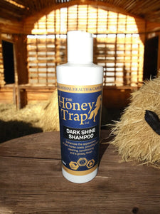 Honey Trap Dark Shine Shampoo