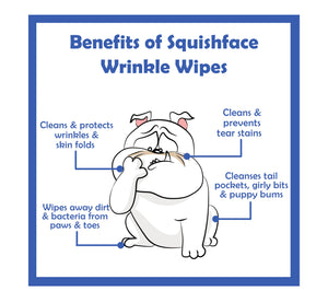 Squish Face Wrinkle Wipes