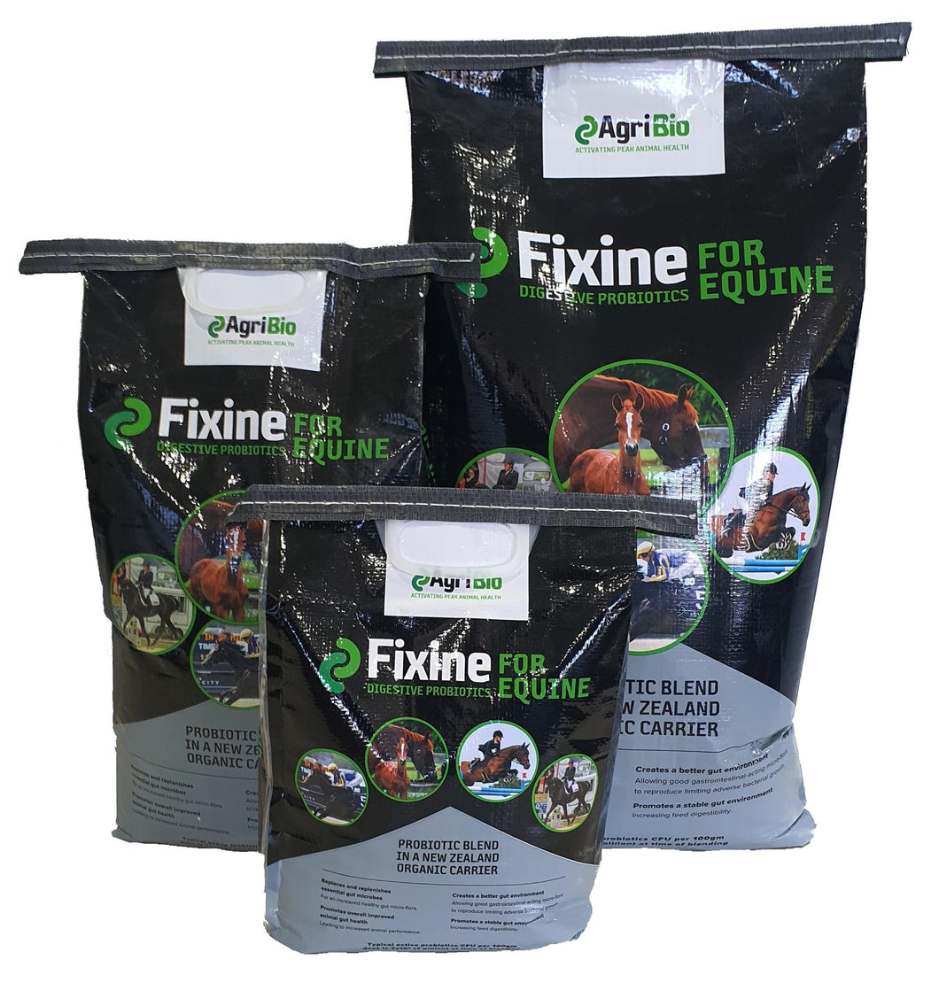 Fixine For Equine