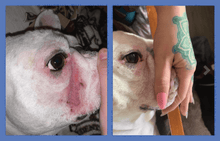 Load image into Gallery viewer, SquishFace Wrinkle Paste
